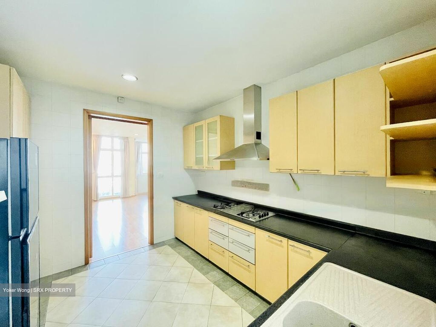Holland Mansion (D10), Condominium #468529341